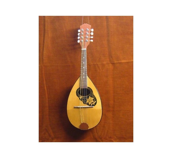 Mandolino Napoletano 4/4 Noce e Acero
