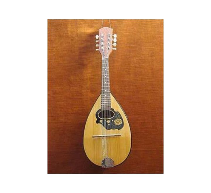 Mandolino Napoletano 4/4 Noce o Mogano